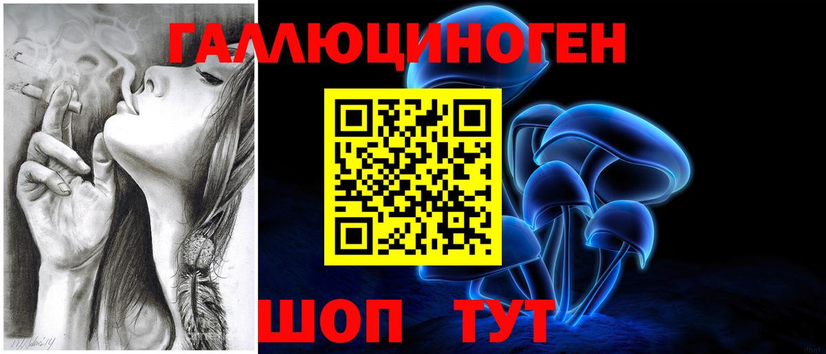 Псилоцибиновые грибы Psilocybine cubensis Асбест